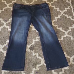 Torrid Bootcut Regular Jeans